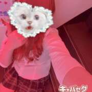 ヒメ日記 2026/05/05 01:48 投稿 くう banana