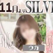 ウカ ご報告 ビギナーズ神戸