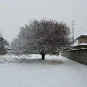 ヒメ日記 2026/02/08 08:12 投稿 美咲もも 癒したくて成田店～日本人アロマ性感～