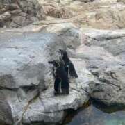 ヒメ日記 2025/11/05 01:04 投稿 うみ★従順キス魔な現役看護師★ Chloe鶯谷・上野店 S級素人清楚系デリヘル