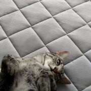 ヒメ日記 2025/08/22 10:16 投稿 りょう☆熟女系新人さん AQUA（辻）