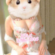 ヒメ日記 2025/07/16 16:01 投稿 かぐら 熟女の風俗最終章 宇都宮店