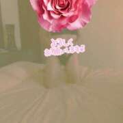 ヒメ日記 2025/08/03 18:37 投稿 かぐら 熟女の風俗最終章 宇都宮店