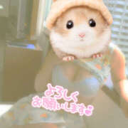 ヒメ日記 2025/09/09 06:51 投稿 かぐら 熟女の風俗最終章 宇都宮店