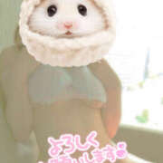 ヒメ日記 2025/09/17 23:25 投稿 かぐら 熟女の風俗最終章 宇都宮店