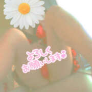 ヒメ日記 2025/09/25 13:38 投稿 かぐら 熟女の風俗最終章 宇都宮店