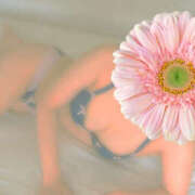 ヒメ日記 2025/09/26 07:41 投稿 かぐら 熟女の風俗最終章 宇都宮店