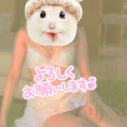 ヒメ日記 2025/10/03 07:10 投稿 かぐら 熟女の風俗最終章 宇都宮店