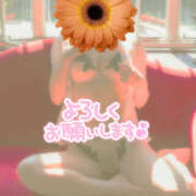 ヒメ日記 2025/10/11 08:21 投稿 かぐら 熟女の風俗最終章 宇都宮店