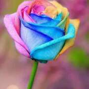 ヒメ日記 2025/10/19 21:51 投稿 かぐら 熟女の風俗最終章 宇都宮店