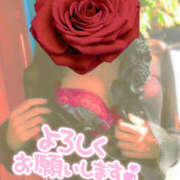 ヒメ日記 2025/10/20 08:01 投稿 かぐら 熟女の風俗最終章 宇都宮店