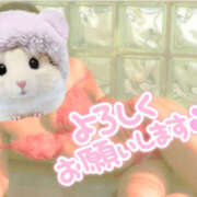 ヒメ日記 2025/10/20 10:02 投稿 かぐら 熟女の風俗最終章 宇都宮店