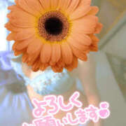 ヒメ日記 2025/10/26 20:11 投稿 かぐら 熟女の風俗最終章 宇都宮店