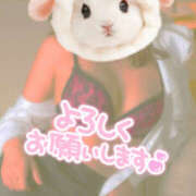 ヒメ日記 2025/10/28 07:03 投稿 かぐら 熟女の風俗最終章 宇都宮店