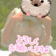 ヒメ日記 2025/10/28 14:41 投稿 かぐら 熟女の風俗最終章 宇都宮店