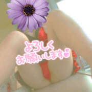 ヒメ日記 2025/10/29 07:31 投稿 かぐら 熟女の風俗最終章 宇都宮店