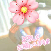 ヒメ日記 2025/10/29 12:04 投稿 かぐら 熟女の風俗最終章 宇都宮店