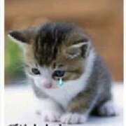 ヒメ日記 2026/03/19 09:01 投稿 かぐら 熟女の風俗最終章 宇都宮店