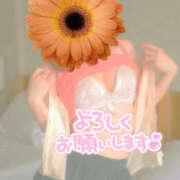 ヒメ日記 2026/03/26 07:01 投稿 かぐら 熟女の風俗最終章 宇都宮店