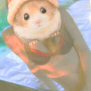 ヒメ日記 2026/04/02 07:01 投稿 かぐら 熟女の風俗最終章 宇都宮店