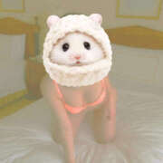 ヒメ日記 2026/04/09 09:31 投稿 かぐら 熟女の風俗最終章 宇都宮店