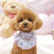 ヒメ日記 2025/07/14 14:10 投稿 はなび りんくう泉佐野ちゃんこ