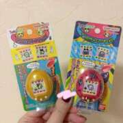 ヒメ日記 2025/11/28 16:04 投稿 六花（りっか） チューリップ福井本館