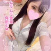 ヒメ日記 2025/10/21 11:14 投稿 六花（りっか） チューリップ福井別館