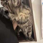 ヒメ日記 2025/08/02 02:38 投稿 えあ エンジェルエステplus