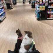 ヒメ日記 2025/10/05 22:28 投稿 乃久香（ののか）ベーシック新人 aroma ace.