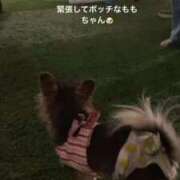 ヒメ日記 2025/10/06 05:08 投稿 乃久香（ののか）ベーシック新人 aroma ace.