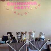 ヒメ日記 2025/10/12 23:53 投稿 乃久香（ののか）ベーシック新人 aroma ace.