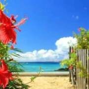 ヒメ日記 2025/11/13 02:38 投稿 乃久香（ののか）ベーシック新人 aroma ace.