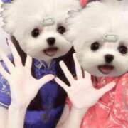 ヒメ日記 2025/10/25 03:22 投稿 あいな「あいな」 ピュアセレクラブ