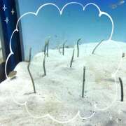 ヒメ日記 2025/08/13 08:29 投稿 沙羅（さら） 人妻恋愛サークル