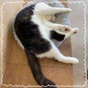 ヒメ日記 2025/09/06 12:57 投稿 沙羅（さら） 人妻恋愛サークル