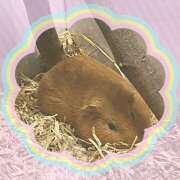 ヒメ日記 2025/09/14 08:41 投稿 沙羅（さら） 人妻恋愛サークル