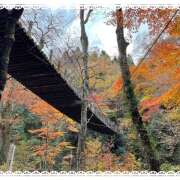 ヒメ日記 2025/11/06 08:30 投稿 沙羅（さら） 人妻恋愛サークル