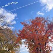 沙羅（さら） 空 人妻恋愛サークル