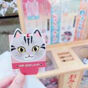 沙羅（さら） にゃんこみくじ 人妻恋愛サークル