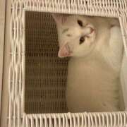 ヒメ日記 2026/05/09 08:30 投稿 沙羅（さら） 人妻恋愛サークル