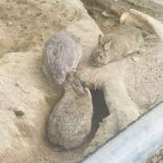ヒメ日記 2026/06/14 08:00 投稿 沙羅（さら） 人妻恋愛サークル