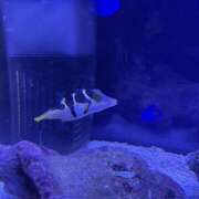 ヒメ日記 2026/09/05 08:00 投稿 沙羅（さら） 人妻恋愛サークル