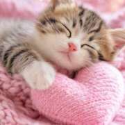 りさ 宜しくお願いします❣️ みこすり半道場 大阪店