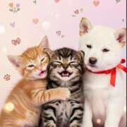 りさ 追伸 みこすり半道場 大阪店