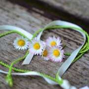 ヒメ日記 2025/09/28 21:00 投稿 ここ 性腺熟女100％（デリヘル市場）