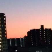 ヒメ日記 2026/01/31 19:45 投稿 ここ 性腺熟女100％本店（デリヘル市場）