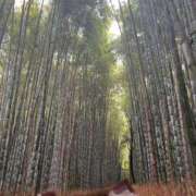 ヒメ日記 2025/08/21 20:51 投稿 優樹菜【ユキナ】 Evolution1st キタ兎我野店