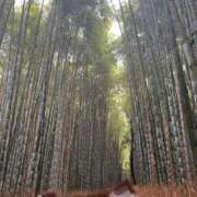 ヒメ日記 2025/08/21 20:51 投稿 優樹菜【ユキナ】 Evolution1st ミナミ谷九店