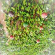 ヒメ日記 2025/08/02 10:53 投稿 ゆいな 大塚 虹いろ回春